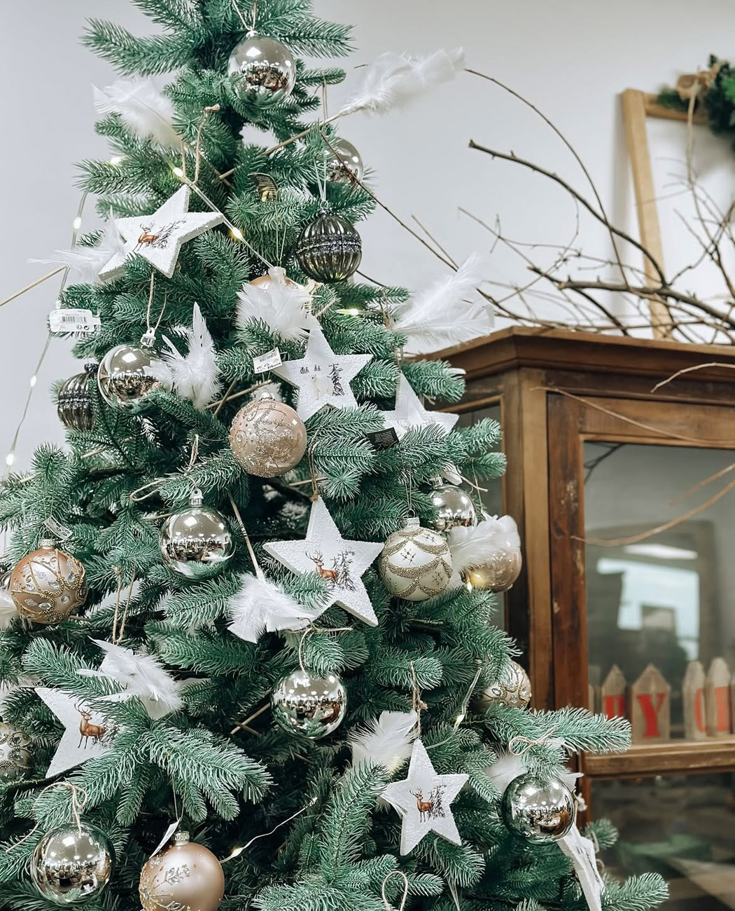 Аурора 3D - Image 6